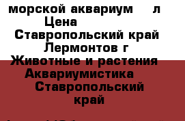 морской аквариум 450л › Цена ­ 100 000 - Ставропольский край, Лермонтов г. Животные и растения » Аквариумистика   . Ставропольский край